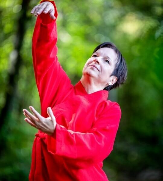 Kurse und Einzelstunden 1 Qigong-Frankfurt-Qigong-lernen