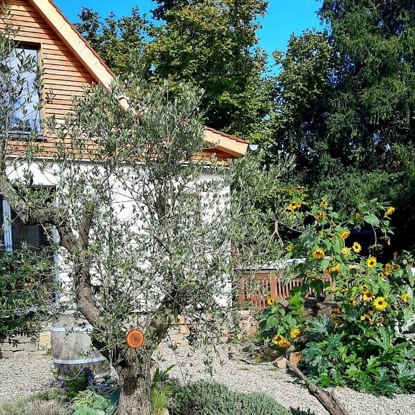 Seminare und Retreats 5 Workshop Element WasserHaus-Guldenbach