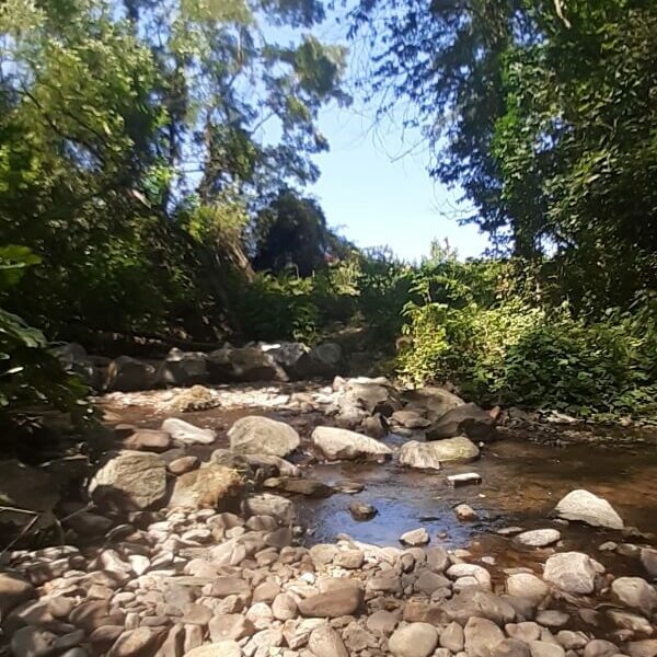 Seminare und Retreats 3 Workshop Element Wasser Haus-Guldenbach-Fluss-Steine