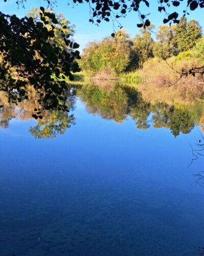 Oberwaldsee Mörfelden Walldorf