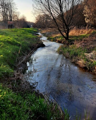 Element Wasser Mörfelden-Walldorf